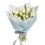 Букет из 35 тюльпанов белого цвета