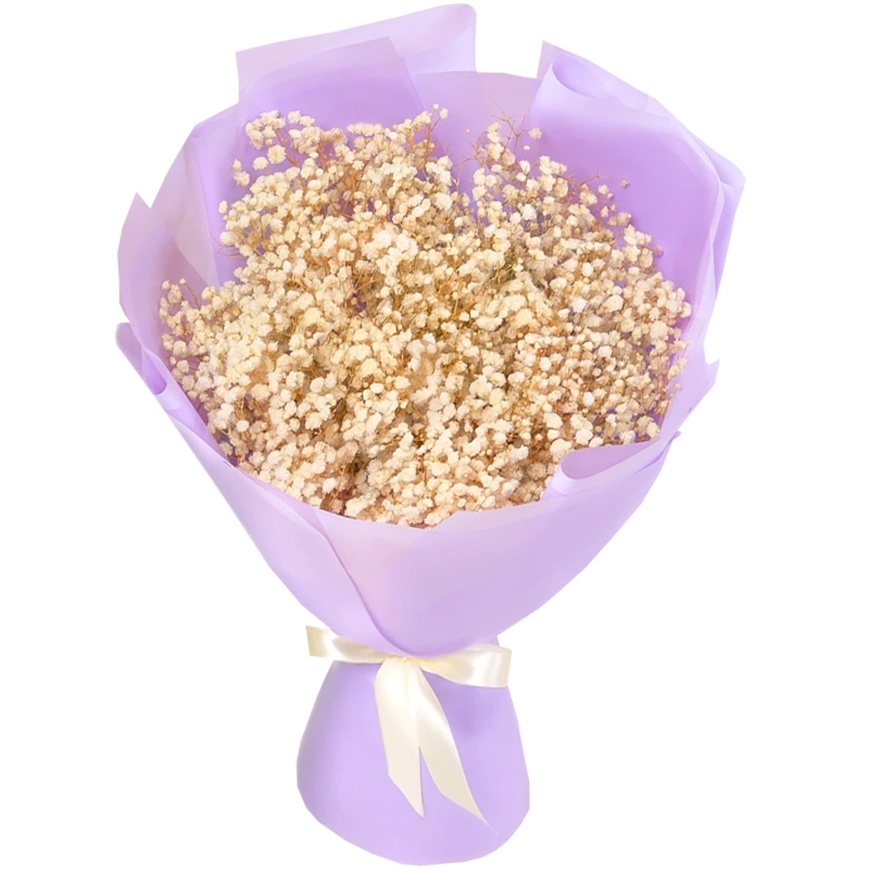 Букет из 9 белых гипсофил