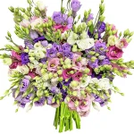 Эустомы яркий микс