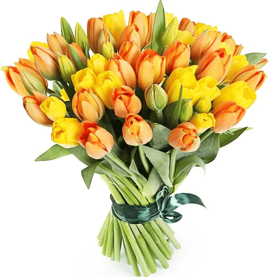 Тюльпаны микс №2